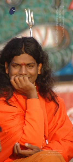 Batch DSC 5353 CMP WM.jpg