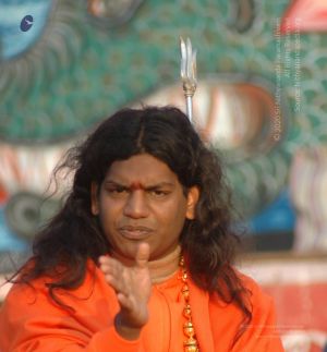 Batch DSC 5363 CMP WM.jpg