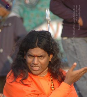 Batch DSC 5366 CMP WM.jpg