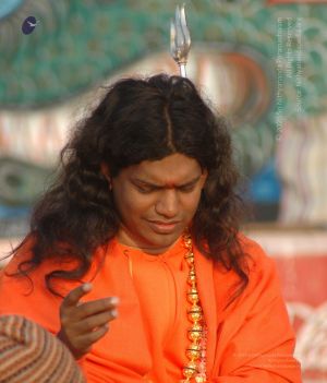 Batch DSC 5391 CMP WM.jpg