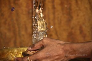 Batch IMG 0291-Photo-20120514-SSJP.jpg