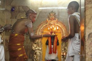 Batch IMG 0419-Photo-20120514-SSJP.jpg