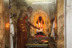 Batch IMG 0422-Photo-20120514-SSJP.jpg