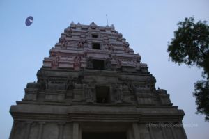 Batch IMG 0499-Photo-20120514-SSJP.jpg