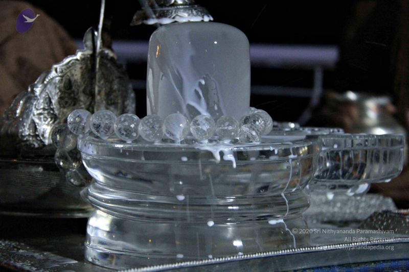 File:Batch IMG 1151 CMP WM.jpg