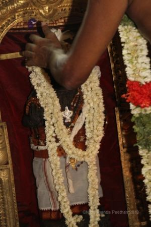 Batch IMG 1430-Photo-20120528-SSJP.jpg