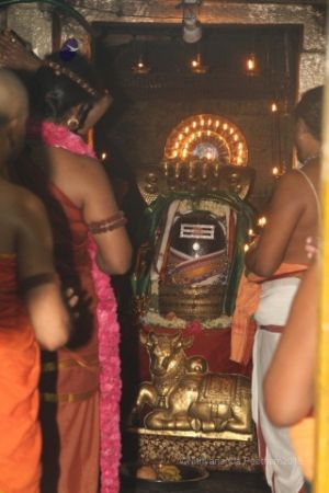 Batch IMG 1825-Photo-20120516-SSJP.jpg