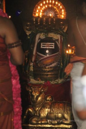 Batch IMG 1831-Photo-20120516-SSJP.jpg