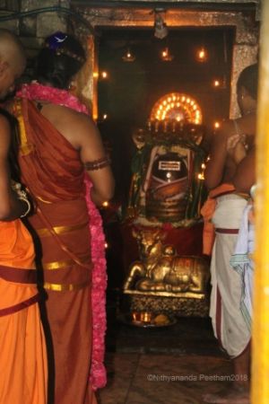 Batch IMG 1837-Photo-20120516-SSJP.jpg