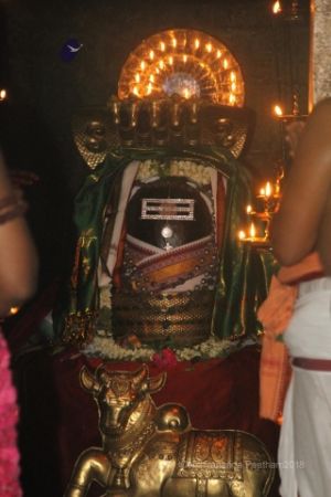 Batch IMG 1840-Photo-20120516-SSJP.jpg