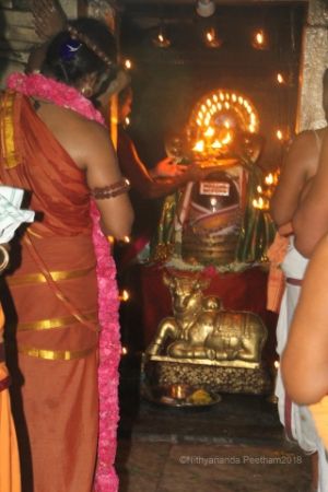 Batch IMG 1844-Photo-20120516-SSJP.jpg