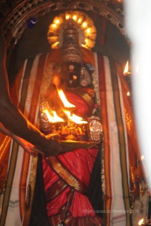 Batch IMG 2030-Photo-20120516-SSJP.jpg