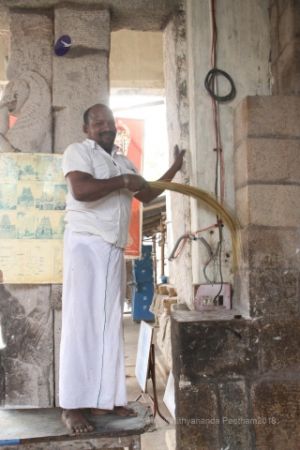 Batch IMG 2121-Photo-20120530-SSJP.jpg