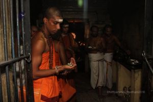 Batch IMG 2266-Photo-20120530-SSJP.jpg