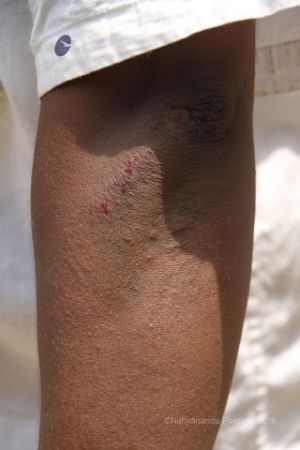 Batch IMG 2365-Photo-20120530-SSJP.jpg