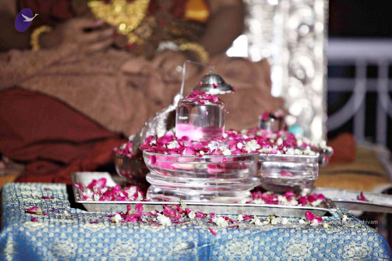 File:Batch IMG 2558 CMP WM.jpg