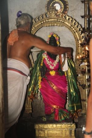 Batch IMG 3297-Photo-20120518-SSJP.jpg