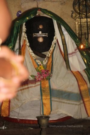 Batch IMG 3550-Photo-20120518-SSJP.jpg