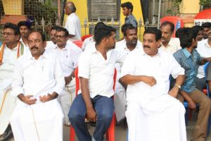 Batch IMG 3584-Photo-20120601-SSJP.jpg