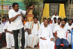 Batch IMG 3591-Photo-20120601-SSJP.jpg