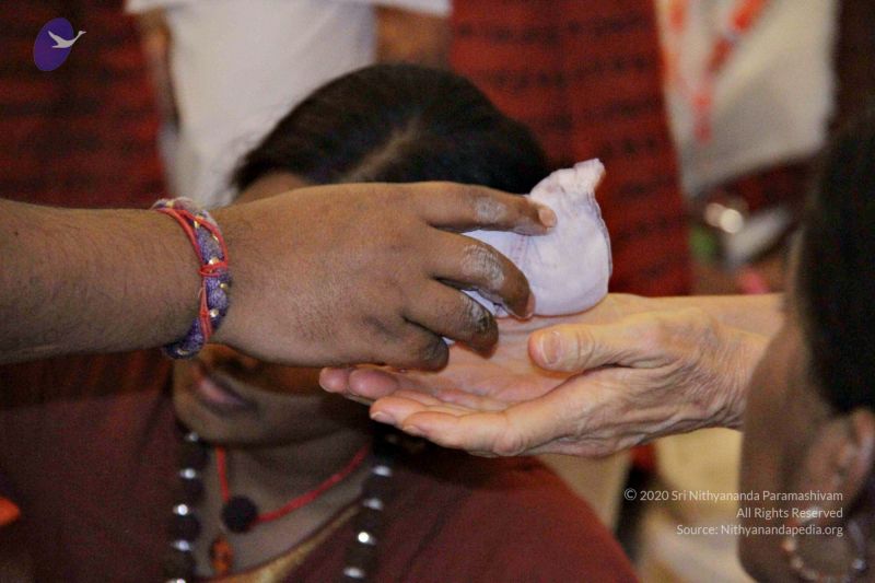 File:Batch IMG 4190 CMP WM.jpg