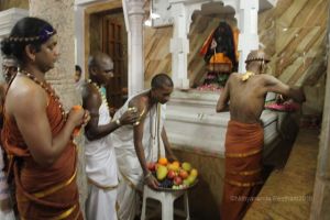 Batch IMG 5798-Photo-20120509-SSJP.jpg