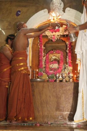 Batch IMG 6556-Photo-20120605-SSJP.jpg