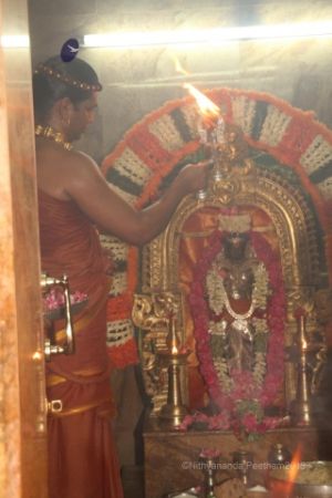 Batch IMG 6704-Photo-20120605-SSJP.jpg