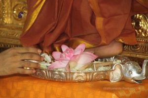 Batch IMG 7476-Photo-20120511-SSJP.jpg