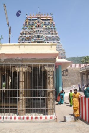 Batch IMG 9311-Photo-20120820-SSJP.jpg