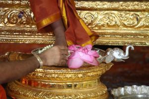 Batch IMG 9349-Photo-20120521-SSJP.jpg