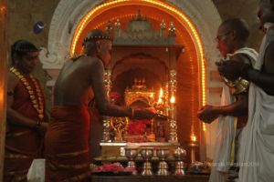 Batch IMG 9945-Photo-20120513-SSJP.jpg