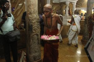 Batch IMG 9988-Photo-20120513-SSJP.jpg