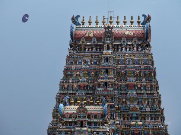 Batch Madurai 106-Photo-20120529-SSJP.jpg