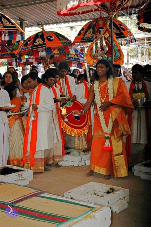 Batch batch DSC 2299 CMP WM.jpg