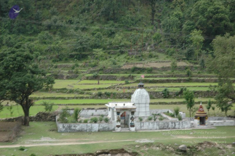 File:DSC 0032 CMP WM.jpg