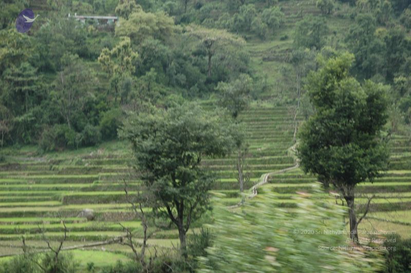 File:DSC 0033 CMP WM.jpg