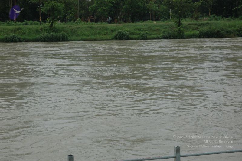 File:DSC 0050 CMP WM.jpg