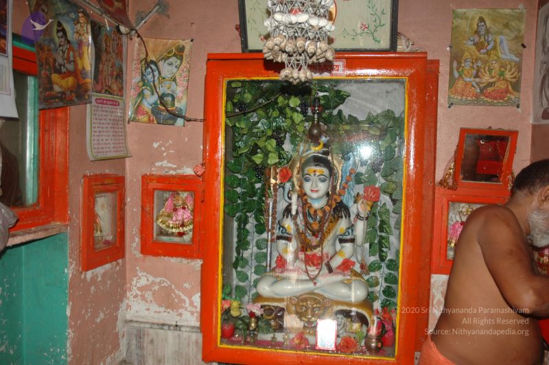 File:DSC 0190 CMP WM.jpg