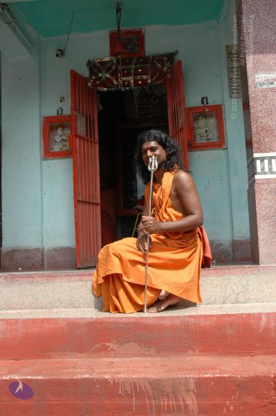 File:DSC 0193 CMP WM.jpg