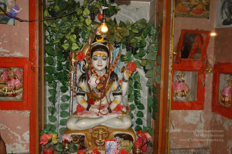 File:DSC 0196 CMP WM.jpg