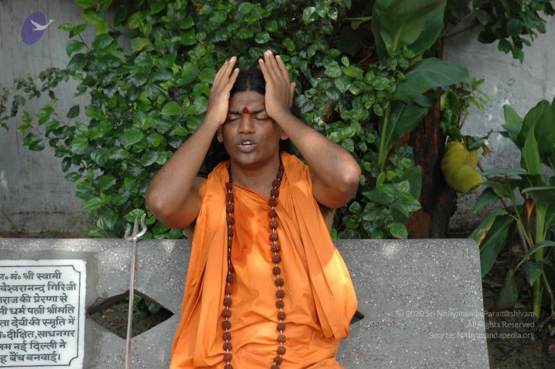 File:DSC 0202 CMP WM.jpg