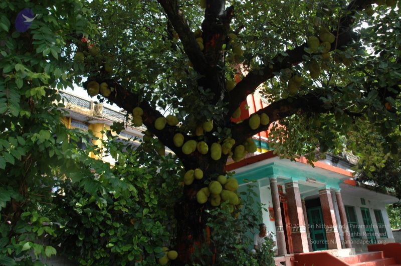 File:DSC 0204 CMP WM.jpg