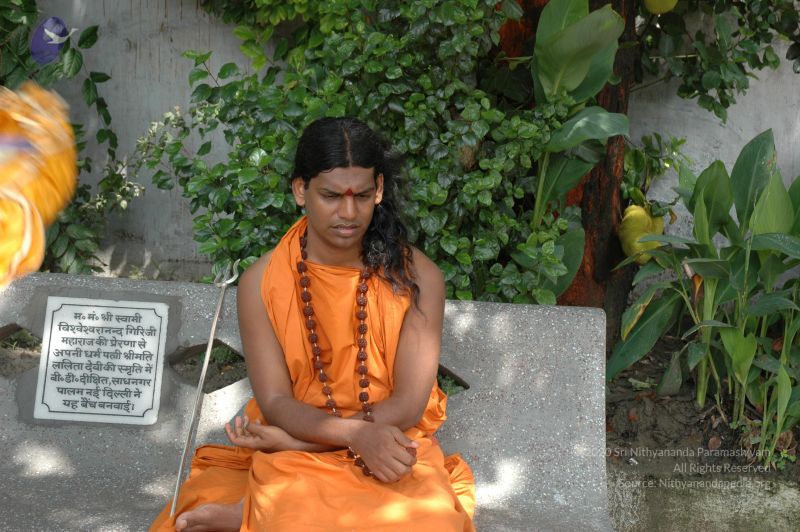 File:DSC 0205 CMP WM.jpg