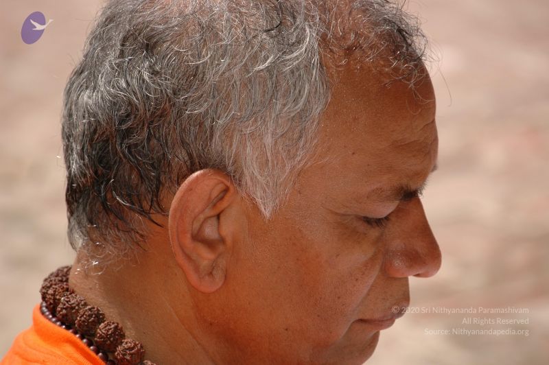 File:DSC 0234 CMP WM.jpg