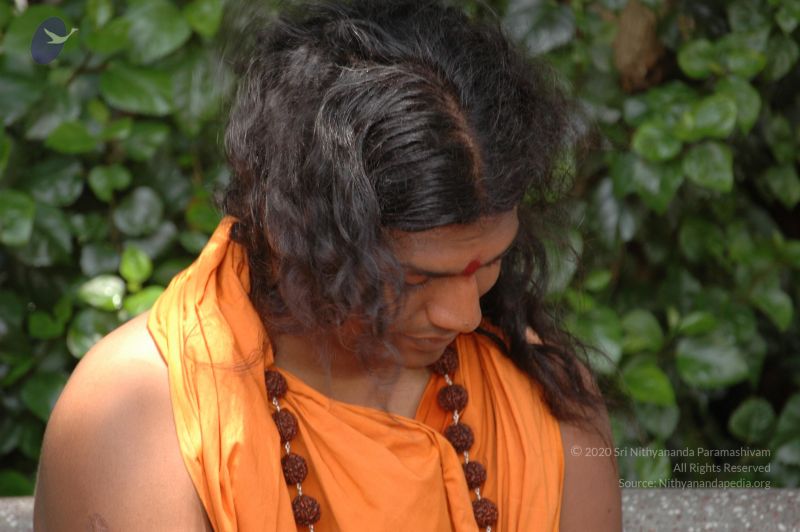 File:DSC 0235 CMP WM.jpg