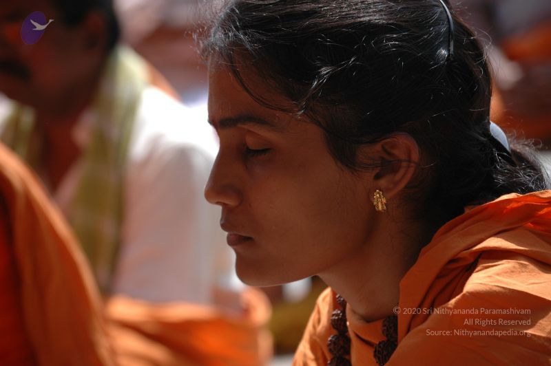 File:DSC 0239 CMP WM.jpg