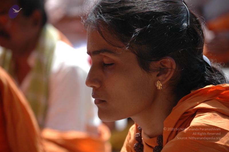 File:DSC 0240 CMP WM.jpg