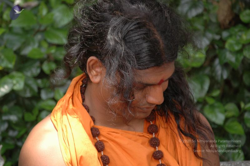 File:DSC 0242 CMP WM.jpg