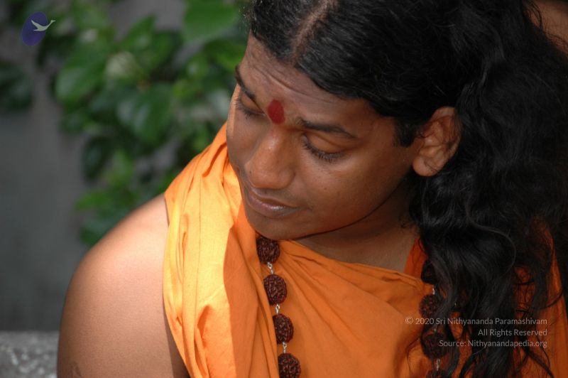 File:DSC 0243 CMP WM.jpg